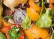 Minimising Food Waste: Food Digesters