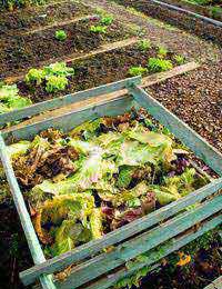 Composting What You Can Compost What You