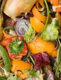 Food Digesters Food Waste Disposing Of