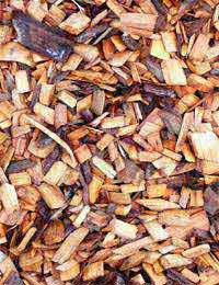 Biomass Energy Biomass Energy Biofuels