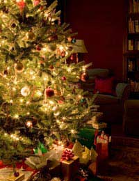 Christmas Christmas Tree Decorations